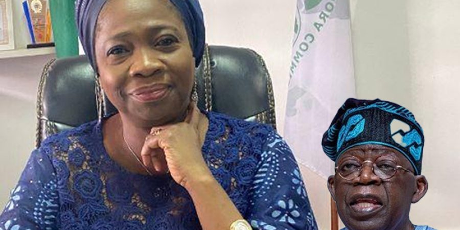 Tinubu Lauds NIDCOM CEO Abike Dabiri-Erewa At 62 tinubu-lauds-nidcom-ceo-abike-dabiri-erewa-at-62