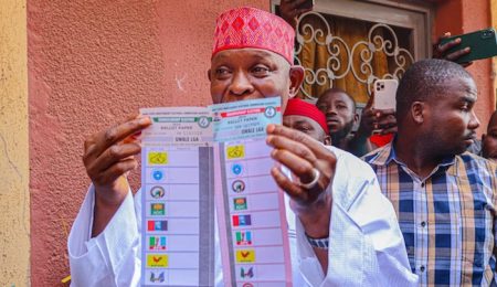 NNPP Sweeps Kano LG Polls, Winning All 44 Council Areas in KANSIEC Election nnpp-sweeps-kano-lg-polls,-winning-all-44-council-areas-in-kansiec-election