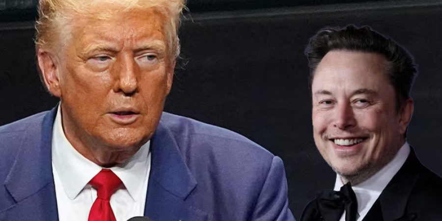 Trump Appoints Elon Musk to Head Department of Government Efficiency trump-appoints-elon-musk-to-head-department-of-government-efficiency