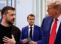 macron-to-hold-bilateral-talks-with-trump-and-zelensky-during-notre-dame-reopening