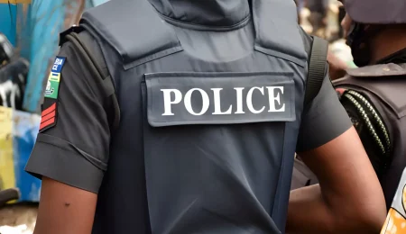Kano Police Seize Counterfeit Currencies Worth Over N129 Billion in Major Bust kano-police-seize-counterfeit-currencies-worth-over-n129-billion-in-major-bust