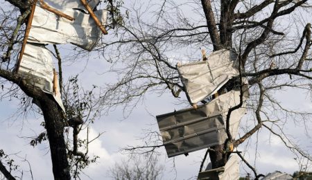 Two Dead, Six Injured as Tornadoes Wreak Havoc in Texas and Mississippi two-dead,-six-injured-as-tornadoes-wreak-havoc-in-texas-and-mississippi