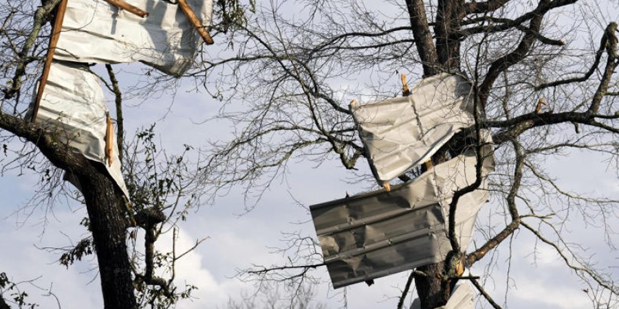 Two Dead, Six Injured as Tornadoes Wreak Havoc in Texas and Mississippi two-dead,-six-injured-as-tornadoes-wreak-havoc-in-texas-and-mississippi