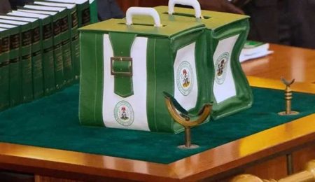 National Assembly Criticises Poor Implementation of 2024 Budget by Tinubus Administration national-assembly-criticises-poor-implementation-of-2024-budget-by-tinubus-administration