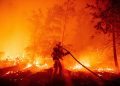 los-angeles-sports-teams-postpone-games-amid-wildfire-threats