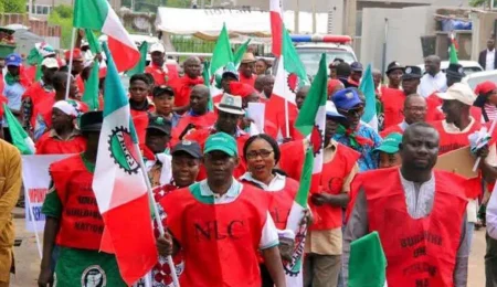 NLC Suspends Planned Strike Over Telecom Tariff Hike, Agrees to Two-Week Review Committee nlc-suspends-planned-strike-over-telecom-tariff-hike,-agrees-to-two-week-review-committee