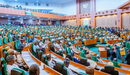 House of Reps Passes Tax Reform Bills Despite Opposition from Northern Lawmakers house-of-reps-passes-tax-reform-bills-despite-opposition-from-northern-lawmakers