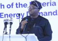 adelabu:-industrial-sector-moving-away-from-grid-due-to-reliability-issues