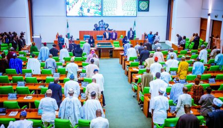 House of Reps Proposes Ban on Pornographic Websites, Urges NCC to Enforce Shutdown house-of-reps-proposes-ban-on-pornographic-websites,-urges-ncc-to-enforce-shutdown