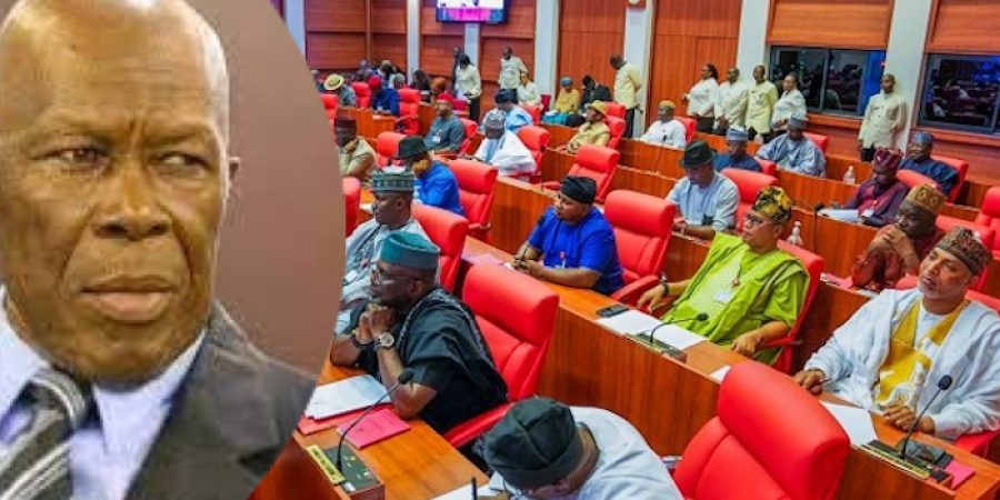 Senate Rejects Motion to Immortalise Late NEC Chairman Humphrey Nwosu senate-rejects-motion-to-immortalise-late-nec-chairman-humphrey-nwosu