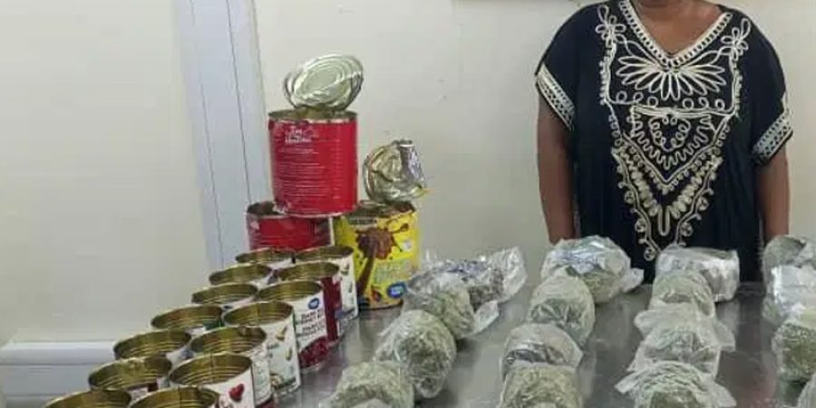 NDLEA Intercepts N3.4bn Worth of Opioids, Codeine in Lagos, Rivers ndlea-intercepts-n3.4bn-worth-of-opioids,-codeine-in-lagos,-rivers