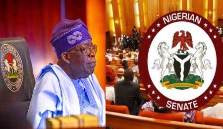 Senate Passes Final Tax Reform Bills, Sets Up Harmonisation Committee senate-passes-final-tax-reform-bills,-sets-up-harmonisation-committee