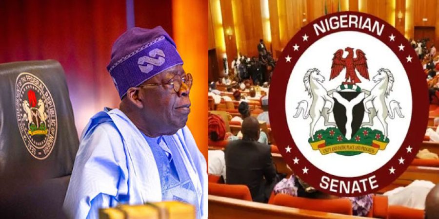 Senate Passes Final Tax Reform Bills, Sets Up Harmonisation Committee senate-passes-final-tax-reform-bills,-sets-up-harmonisation-committee
