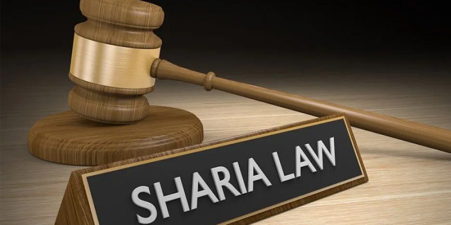 Sharia Provisions Should Be Expunged From Nigerian Constitution, Says Human Rights Group sharia-provisions-should-be-expunged-from-nigerian-constitution,-says-human-rights-group