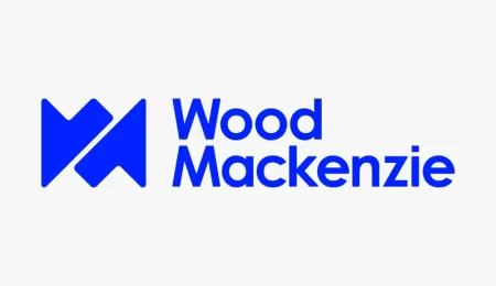 Nigeria Needs $12bn Investment Annually to Meet Tinubus Oil, Gas Targets, Says Wood Mackenzie nigeria-needs-$12bn-investment-annually-to-meet-tinubus-oil,-gas-targets,-says-wood-mackenzie