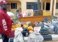 ndlea-arrests-129,-seizes-over-280kg-of-illicit-drugs-in-kogi