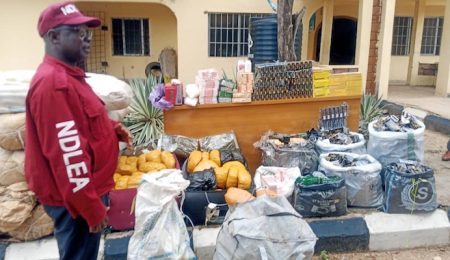 NDLEA Arrests 129, Seizes Over 280kg Of Illicit Drugs In Kogi ndlea-arrests-129,-seizes-over-280kg-of-illicit-drugs-in-kogi