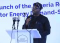 minister-adelabu-champions-nigerias-role-in-africas-energy-future-at-2025-cape-town-forum