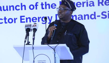 Minister Adelabu Champions Nigerias Role in Africas Energy Future at 2025 Cape Town Forum minister-adelabu-champions-nigerias-role-in-africas-energy-future-at-2025-cape-town-forum