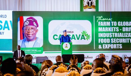 Shettima: Cassava Now Key Driver Of Nigerias Industrial Development, Import Substitution shettima:-cassava-now-key-driver-of-nigerias-industrial-development,-import-substitution