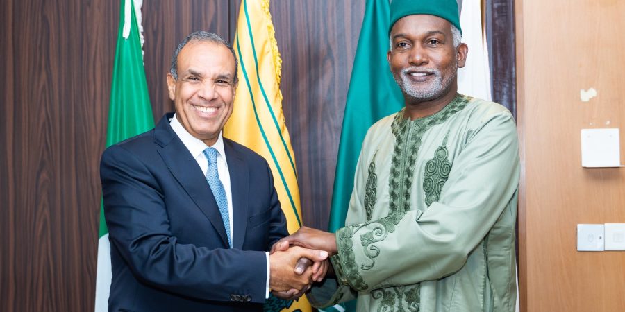 Nigeria, Egypt Partner to Boost Intra-D-8 Trade, Target $500bn by 2030 nigeria,-egypt-partner-to-boost-intra-d-8-trade,-target-$500bn-by-2030