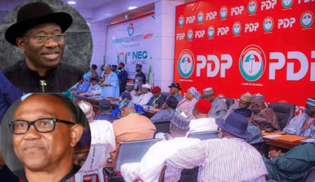 pdp-zones-2027-presidency-to-south,-clears-path-for-jonathan,-obi