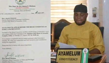 anambra-north-lp-lawmakers-support-suspended-assembly-member,-describe-suspension-as-premature