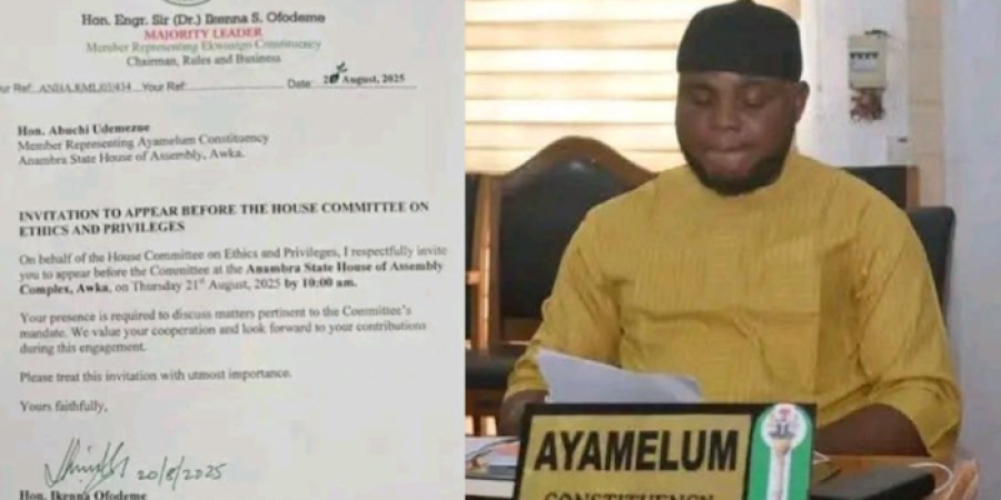 anambra-north-lp-lawmakers-support-suspended-assembly-member,-describe-suspension-as-premature