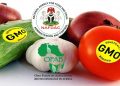 nigeria-plans-to-label-genetically-modified-crops