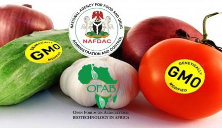 Nigeria Plans to Label Genetically Modified Crops nigeria-plans-to-label-genetically-modified-crops