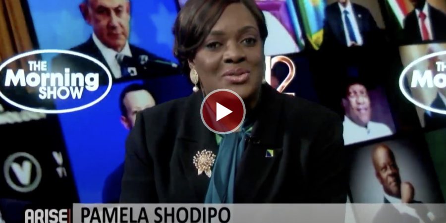 Pamela Shodipo: Atlanta Expo Will Showcase Nigerias Non-Oil Exports To the World pamela-shodipo:-atlanta-expo-will-showcase-nigerias-non-oil-exports-to-the-world