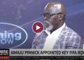 amaju-pinnick:-my-fifa-appointment-recognition-of-nigerias-stand-in-global-sports