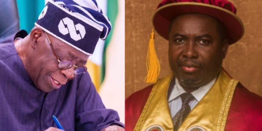 Council of State Approves Tinubus Nominee, Prof. Joash Amupitan, as INEC Chairman council-of-state-approves-tinubus-nominee,-prof.-joash-amupitan,-as-inec-chairman