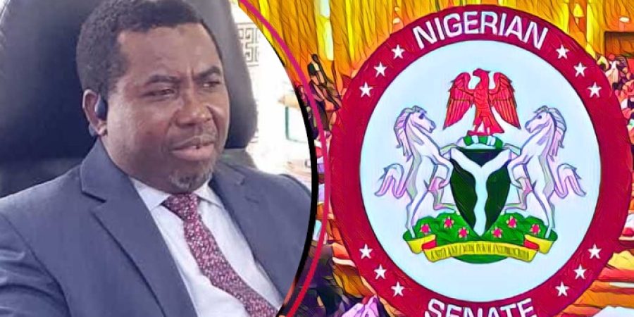 senate-to-screen-amupitan-as-inec-chair-thursday