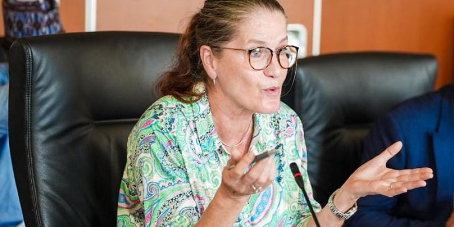 nigeria-germany-trade-volume-hits-all-time-high-3bn,-says-ambassador-gunther