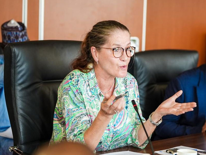 nigeria-germany-trade-volume-hits-all-time-high-3bn,-says-ambassador-gunther