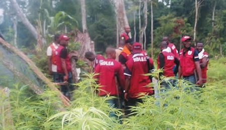 Suspected Drug Traffickers Attack NDLEA, Army Operatives During Edo Raid suspected-drug-traffickers-attack-ndlea,-army-operatives-during-edo-raid