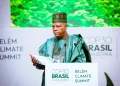 at-cop-30,-nigeria-seeks-boost-in-global-financing-to-restore,-protect-forests,-oceans