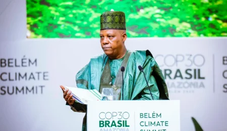 At COP 30, Nigeria Seeks Boost In Global Financing To Restore, Protect Forests, Oceans at-cop-30,-nigeria-seeks-boost-in-global-financing-to-restore,-protect-forests,-oceans