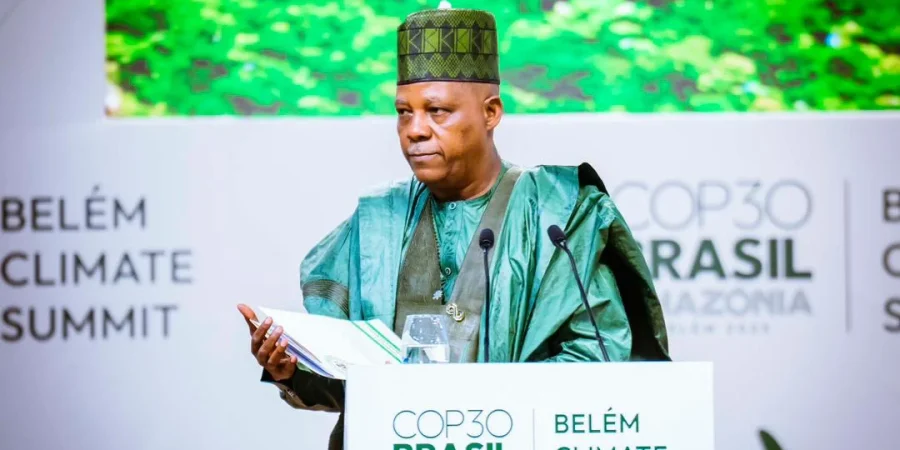 At COP 30, Nigeria Seeks Boost In Global Financing To Restore, Protect Forests, Oceans at-cop-30,-nigeria-seeks-boost-in-global-financing-to-restore,-protect-forests,-oceans