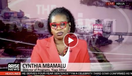 cynthia-mbamalu:-votes-are-counted,-but-many-are-bought-as-low-turnout-makes-vote-buying-easier