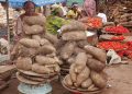 nigerias-inflation-eases-to-16.05%-as-food,-energy-price-moderation-supports-stability