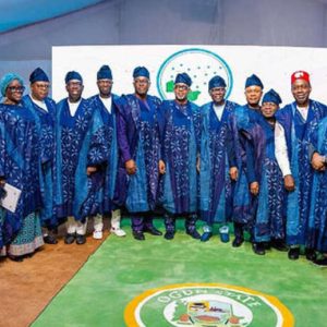 all-17-southern-nigeria-governors-approve-zonal-security-fund,-push-for-state-police