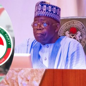 pdp-condemns-tinubu-ambassadorial-list-as-scandalous,-misaligned-with-national-values