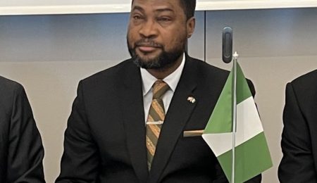 Akinremi: Diplomatic Entitlements Dont Reflect Risks, Sacrifices Of The Job akinremi:-diplomatic-entitlements-dont-reflect-risks,-sacrifices-of-the-job