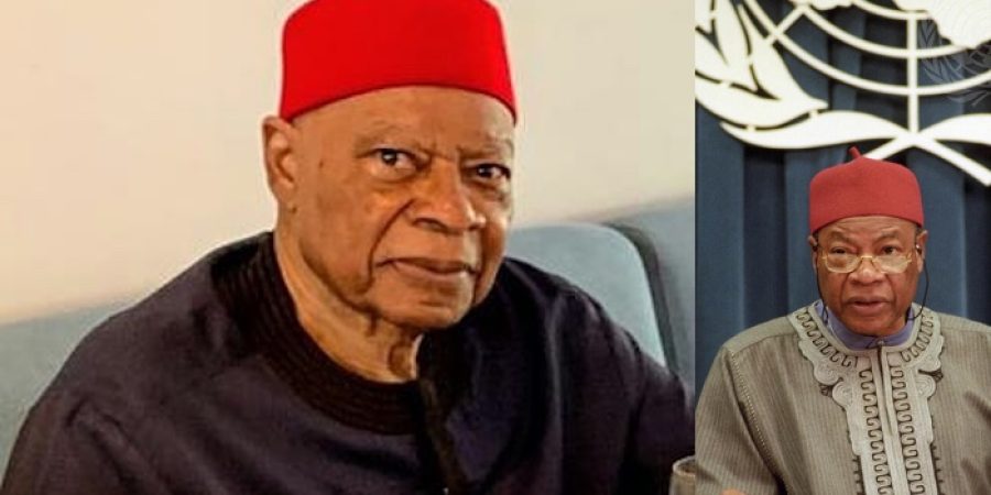 nigerian-accounting-icon-and-former-un-representativearthur-mbanefo-dies-at-95