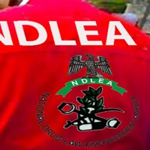 ndlea-nabs-ex-convict,-three-others-over-cocaine-hidden-in-liquid-starch-bound-for-uk