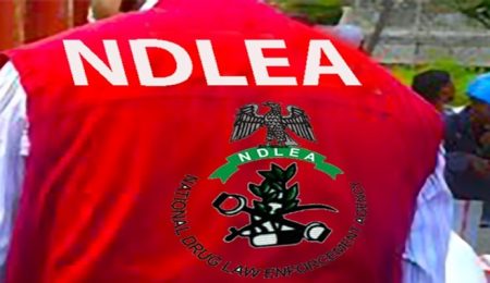 ndlea-nabs-ex-convict,-three-others-over-cocaine-hidden-in-liquid-starch-bound-for-uk