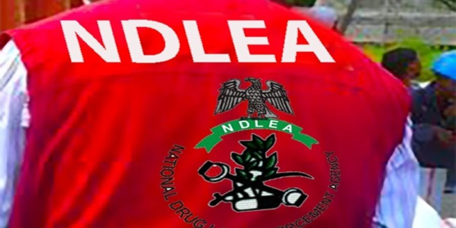 NDLEA Nabs Ex-Convict, Three Others Over Cocaine Hidden In Liquid Starch Bound For UK ndlea-nabs-ex-convict,-three-others-over-cocaine-hidden-in-liquid-starch-bound-for-uk