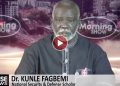 kunle-fagbemi:-nigerias-$9-million-us-lobbying-diverts-funds-from-security,-idps,-and-development